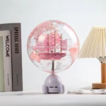 New Products Earth Globe with Bluetooth for Student Globe