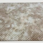 A2-2  JR-Tortoiseshell