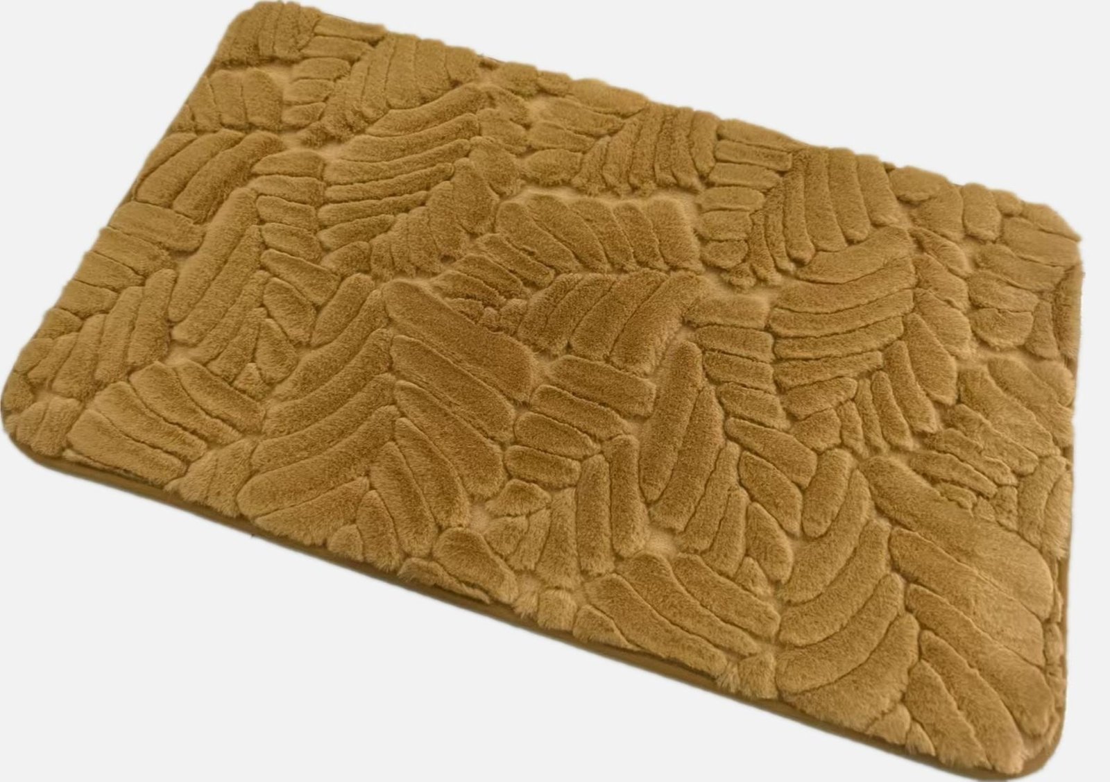 A5-4 JR-Fossil Leaves